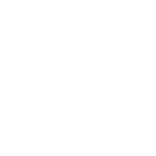Momentum